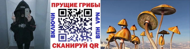 Галлюциногенные грибы мицелий  kraken как войти  Ленинск-Кузнецкий 